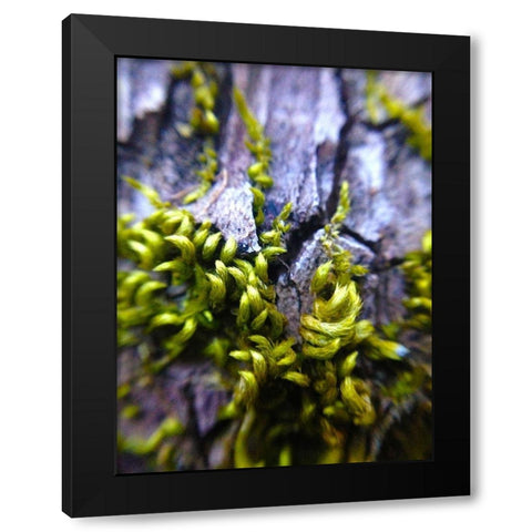 Bark Hair I Black Modern Wood Framed Art Print by Grayscale