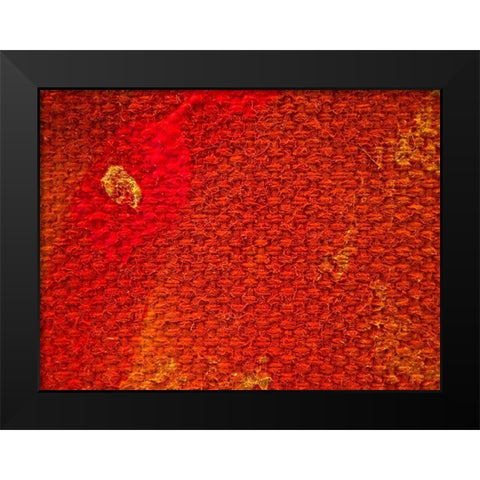Canvas Closeup III Black Modern Wood Framed Art Print by Grayscale