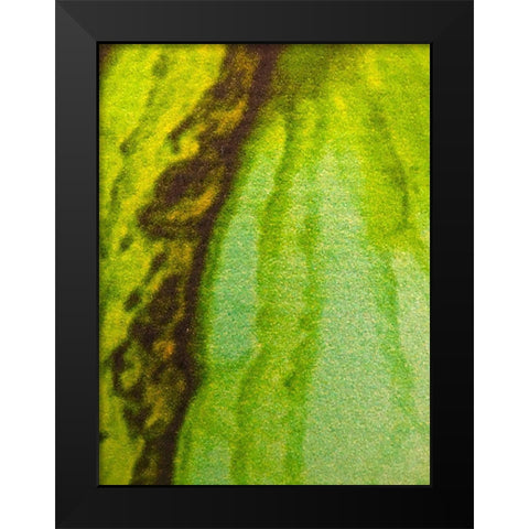 Canvas Closeup V Black Modern Wood Framed Art Print by Grayscale