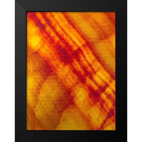 Canvas Closeup VI Black Modern Wood Framed Art Print by Grayscale