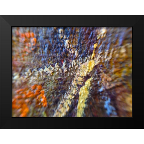 Paint Closeup IX Black Modern Wood Framed Art Print by Grayscale