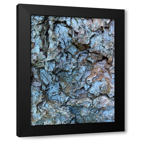 Bark Scales I Black Modern Wood Framed Art Print by Grayscale