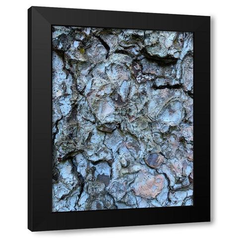 Bark Scales II Black Modern Wood Framed Art Print with Double Matting by Grayscale