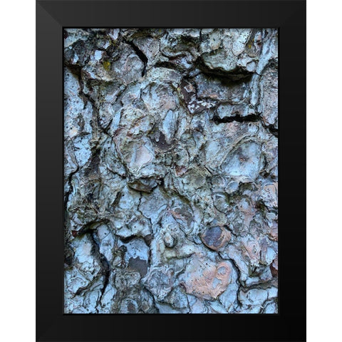 Bark Scales II Black Modern Wood Framed Art Print by Grayscale