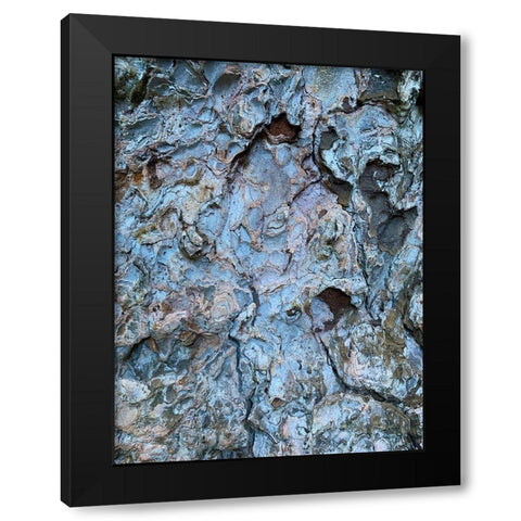 Bark Scales III Black Modern Wood Framed Art Print by Grayscale