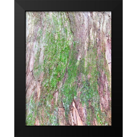 Bark and Moss II Black Modern Wood Framed Art Print by Grayscale