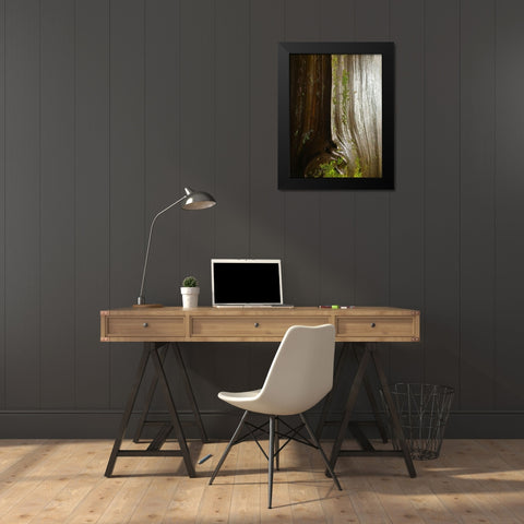 Bark and Moss IV Black Modern Wood Framed Art Print by Grayscale