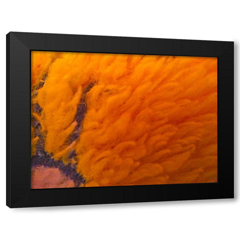 Orange Furry I Black Modern Wood Framed Art Print by Grayscale