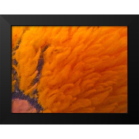 Orange Furry I Black Modern Wood Framed Art Print by Grayscale