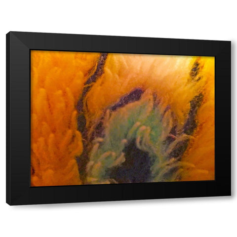 Orange Furry II Black Modern Wood Framed Art Print by Grayscale