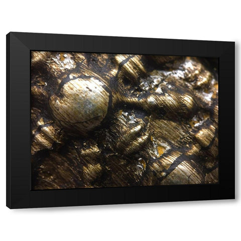 Frame Pic IV Black Modern Wood Framed Art Print by Grayscale