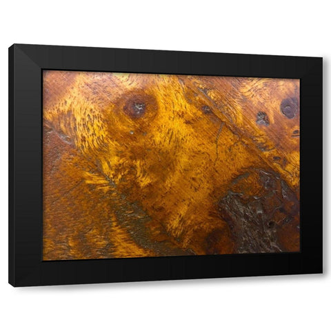 Wood Texture II Black Modern Wood Framed Art Print by Grayscale