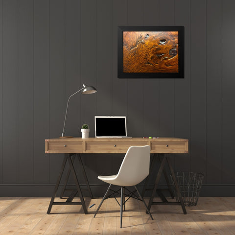 Wood Texture III Black Modern Wood Framed Art Print by Grayscale