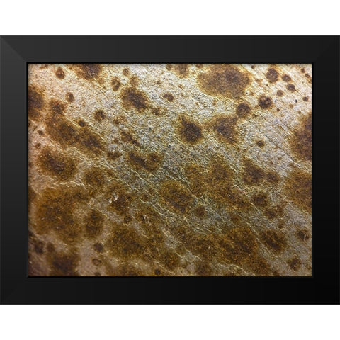 Silver Texture I Black Modern Wood Framed Art Print by Grayscale
