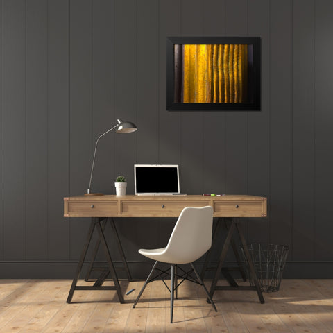Frame Pic XIII Black Modern Wood Framed Art Print by Grayscale