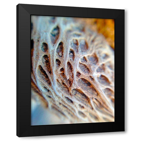 Fibers I Black Modern Wood Framed Art Print with Double Matting by Grayscale
