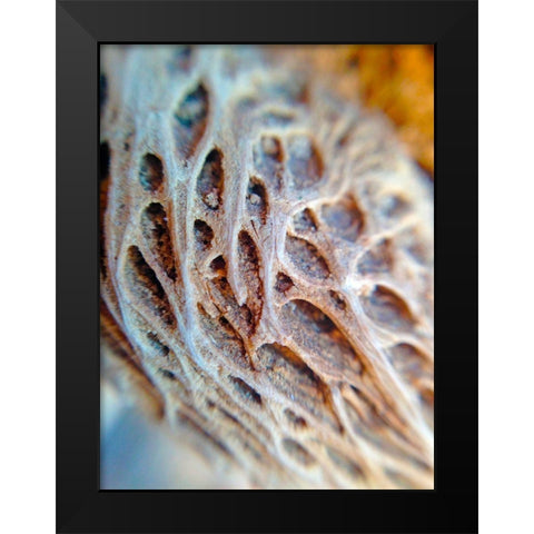 Fibers I Black Modern Wood Framed Art Print by Grayscale