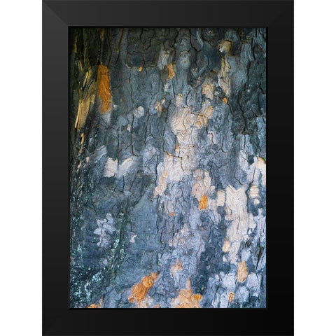 Bark Scales IV Black Modern Wood Framed Art Print by Grayscale