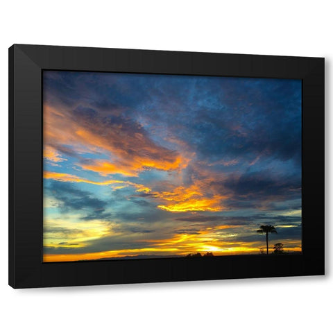 Arizona Sunset I Black Modern Wood Framed Art Print by Grayscale