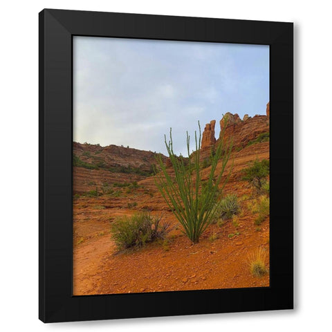 Sedona I Black Modern Wood Framed Art Print by Grayscale