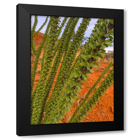 Sedona III Black Modern Wood Framed Art Print by Grayscale
