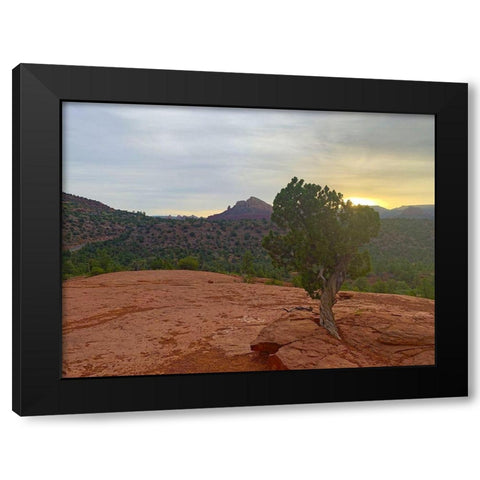 Sedona IV Black Modern Wood Framed Art Print by Grayscale