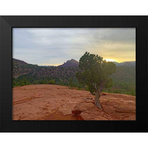 Sedona IV Black Modern Wood Framed Art Print by Grayscale