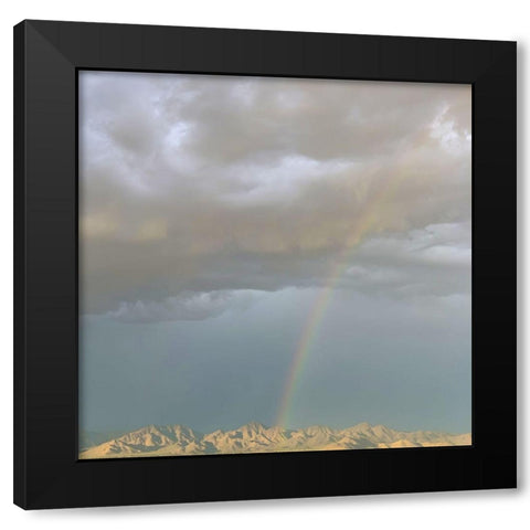 Rainbow I Black Modern Wood Framed Art Print with Double Matting by Grayscale