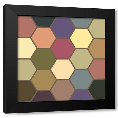 Soft Hive IV Black Modern Wood Framed Art Print with Double Matting by Grayscale