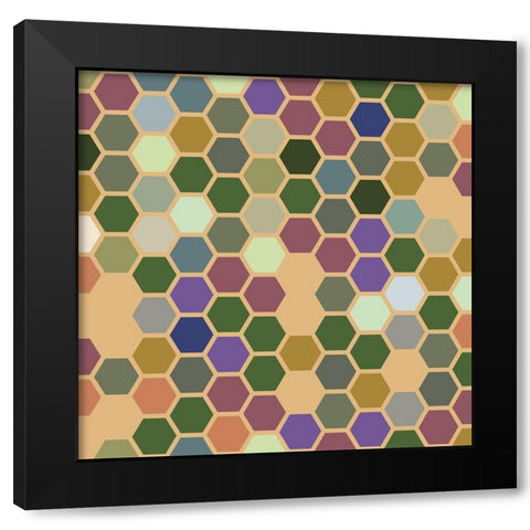Small Hive IX Black Modern Wood Framed Art Print with Double Matting by Grayscale