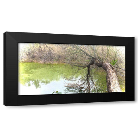 Pair of Mallards on Water Black Modern Wood Framed Art Print with Double Matting by Tenoever, William