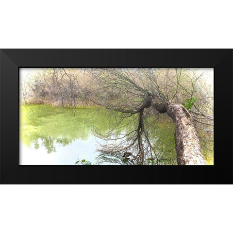 Pair of Mallards on Water Black Modern Wood Framed Art Print by Tenoever, William