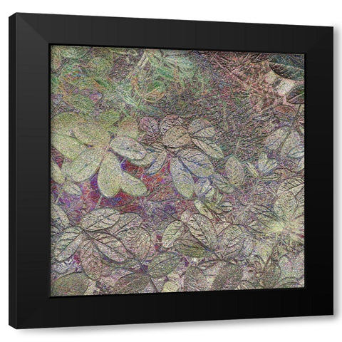 Flora Square 1a Black Modern Wood Framed Art Print with Double Matting by Tenoever, William