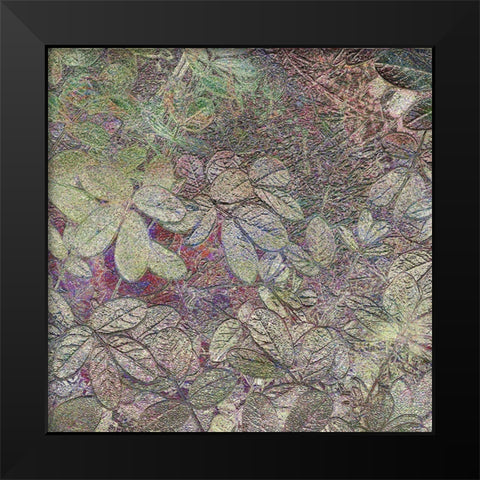 Flora Square 1a Black Modern Wood Framed Art Print by Tenoever, William