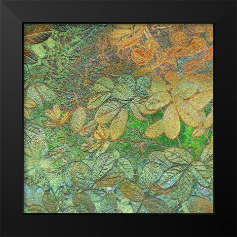 Flora Square 1b Black Modern Wood Framed Art Print by Tenoever, William