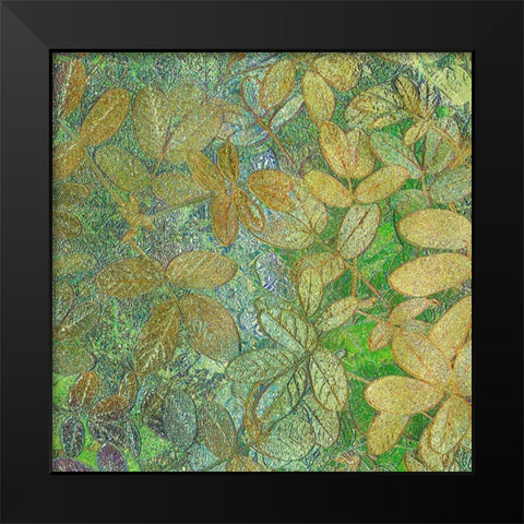 Flora Square 1e Black Modern Wood Framed Art Print by Tenoever, William