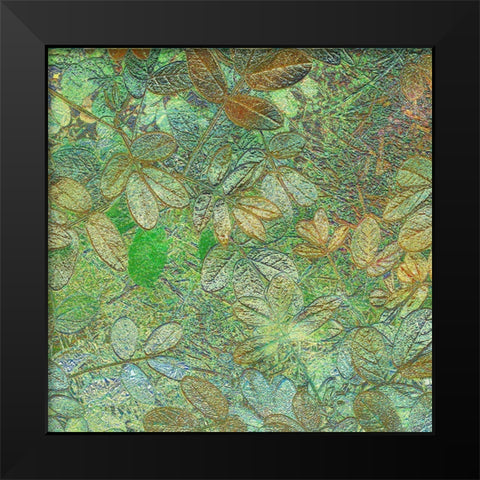 Flora Square 1h Black Modern Wood Framed Art Print by Tenoever, William
