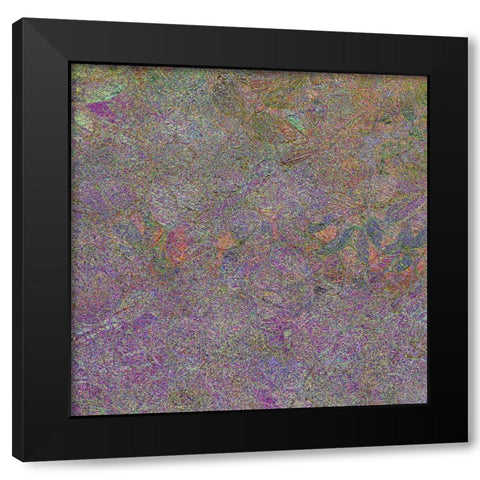 Flora Square 1I Black Modern Wood Framed Art Print by Tenoever, William