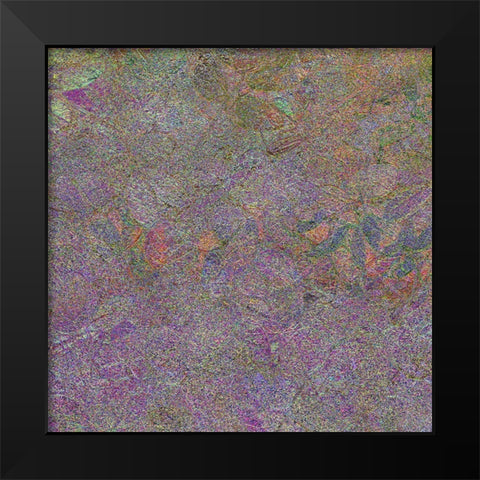Flora Square 1I Black Modern Wood Framed Art Print by Tenoever, William