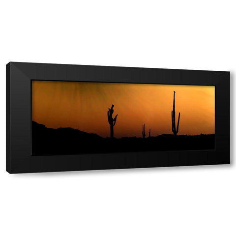 CopperSkies Black Modern Wood Framed Art Print by Tenoever, William