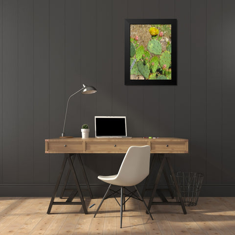 Prickly Pear II Black Modern Wood Framed Art Print by Popcorn