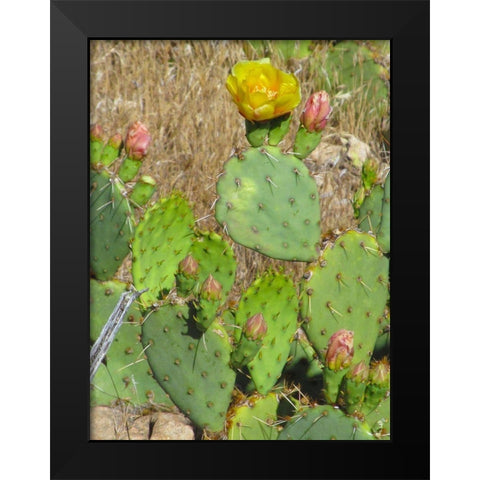Prickly Pear II Black Modern Wood Framed Art Print by Popcorn