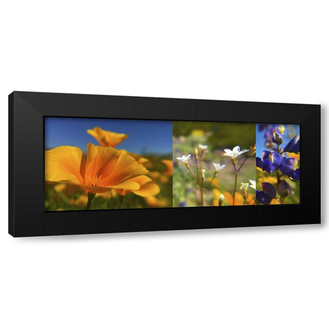 Wildflower Collage Black Modern Wood Framed Art Print by Popcorn