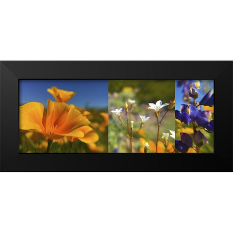 Wildflower Collage Black Modern Wood Framed Art Print by Popcorn
