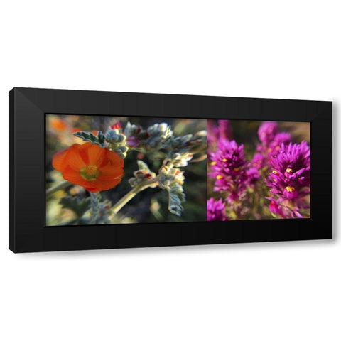 Wildflowers Collage III Black Modern Wood Framed Art Print with Double Matting by Popcorn