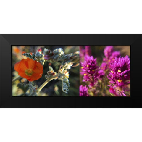 Wildflowers Collage III Black Modern Wood Framed Art Print by Popcorn