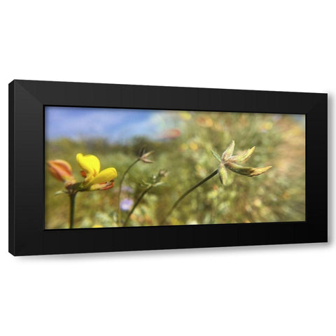 Wildflowers XXXII Black Modern Wood Framed Art Print with Double Matting by Popcorn