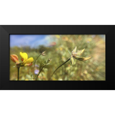 Wildflowers XXXII Black Modern Wood Framed Art Print by Popcorn
