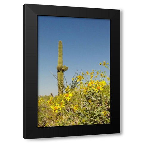 Desert Scape 3 Black Modern Wood Framed Art Print with Double Matting by Popcorn