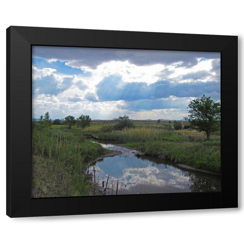 Becker Lake Wildlife Preserve Black Modern Wood Framed Art Print with Double Matting by Popcorn